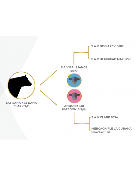 Genealogia de Latisana Diana