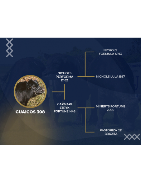 Genealogia de Carbonilla