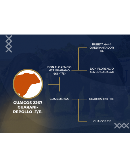 Genealogia de Guaraná