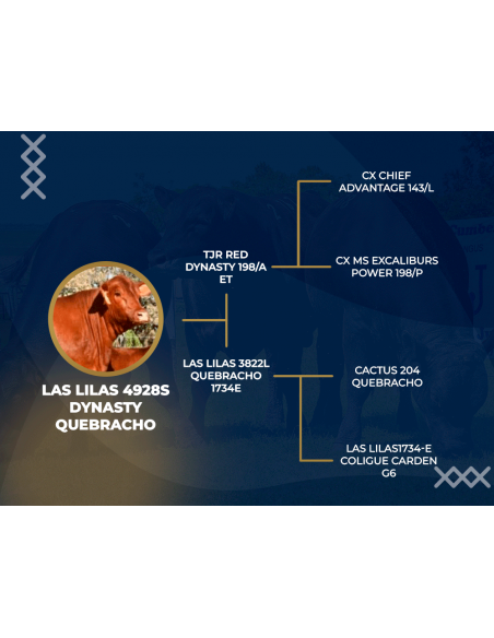 Genealogia de Las Lilas 4928S Dynasty Quebracho