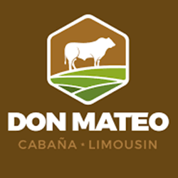 Don Mateo Limousin
