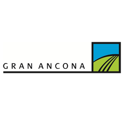 Gran Ancona